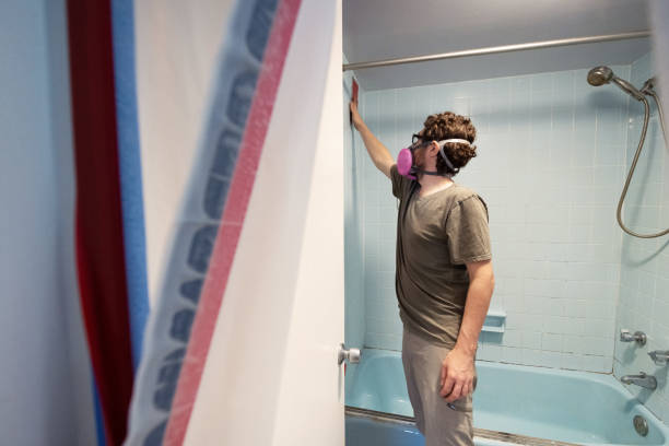 Best Attic Mold Removal  in Earlimart, CA